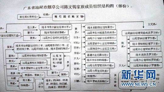 圖為廣東省汕尾市煙草專賣局局長陳文鑄家族成員組織結(jié)構(gòu)圖（1月13日攝）。新華社記者 劉大江 攝