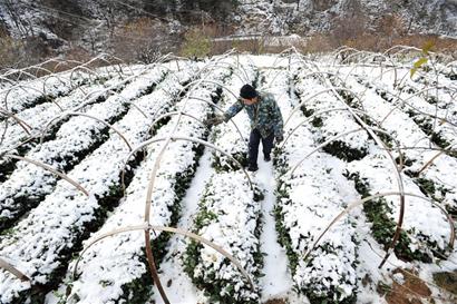 青島昨氣溫破冰點迎首場雪 2日雪景將再現(xiàn)