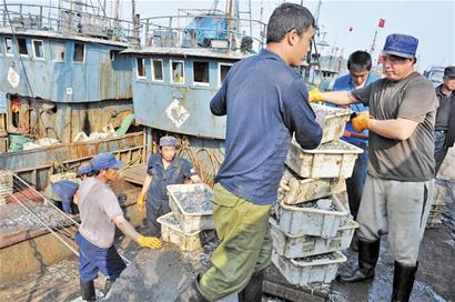 6月1日起青島全面休漁 海鮮價格猛漲