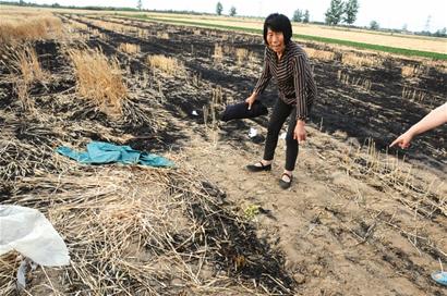 即墨麥田起火燒死老人