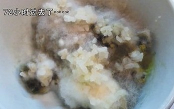 空調(diào)散熱片藏匿大量細菌 米飯吹三天發(fā)霉