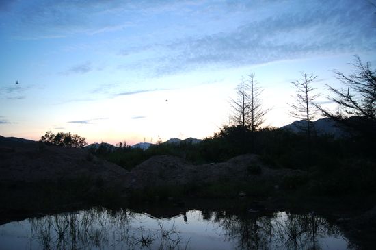 探秘青島大河東神秘濕地:芳草叢生水鳥飛翔時光寂然