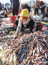 開海首日海鮮價格不高