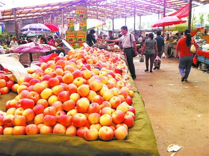 青島市面紅富士實(shí)為紅將軍 正品十一過后才上市