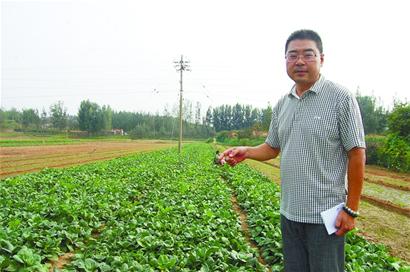 青島年入百萬(wàn)包工頭隱居山林 賞如畫(huà)風(fēng)景種菜養(yǎng)鴨