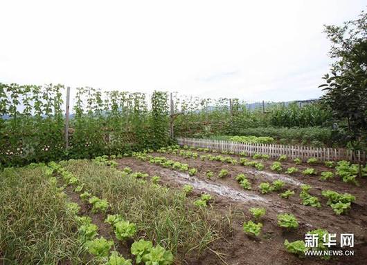 朝鮮合作農(nóng)場居民生活揭秘:電視電腦不缺