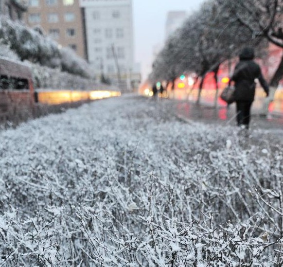 暴雪強襲東北大部 多地大雪將持續(xù)