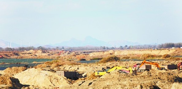 大小沽河交匯處成鳥兒天堂 天藍水凈野鴨紛飛