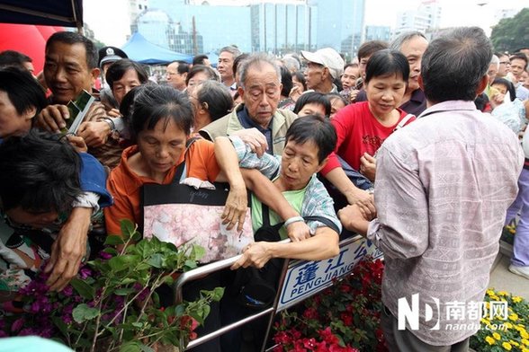 江門(mén)免費(fèi)派花 民眾推倒圍欄哄搶