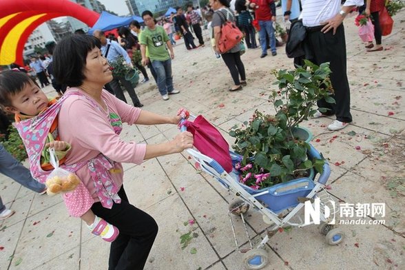 江門免費派花 民眾推倒圍欄哄搶