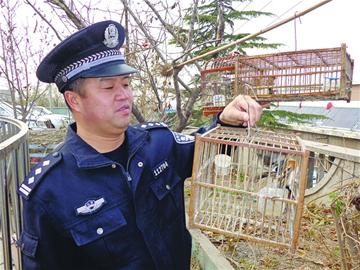 青年廢棄廠區(qū)架網捕鳥