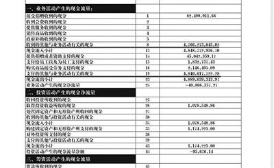 舉報人周筱赟貼出的中華兒慈會2011年財務報表，并標出可疑項目。網(wǎng)絡截圖