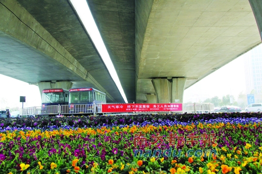 鄭州市中州大道農(nóng)業(yè)路口橋下新擺滿(mǎn)的花盆，旁邊是救助提示語(yǔ)。本版圖片均由南都記者 孫旭陽(yáng) 攝