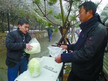 市人大代表、政協(xié)委員關(guān)注“菜事”建議拓寬銷售渠道