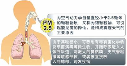 霧霾交替來 PM2.5直蹦高