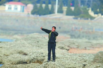 稀有丑鴨落腳太平角 頻遭彈弓襲擊