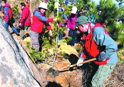 700多人揮鏟嶗山添綠