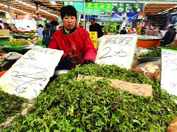 開春細數(shù)青島野菜